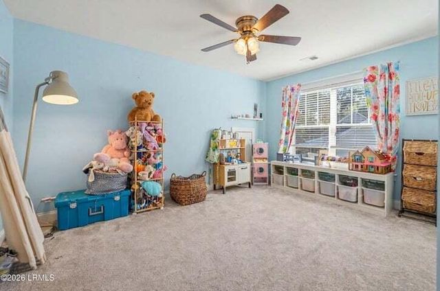 213 Black Skimmer Drive, Beaufort, SC 29907