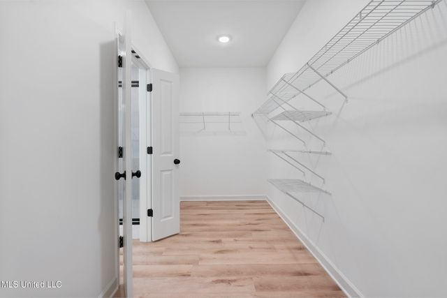 13878 Molly Madeline Lane, Olive Branch, MS 38654