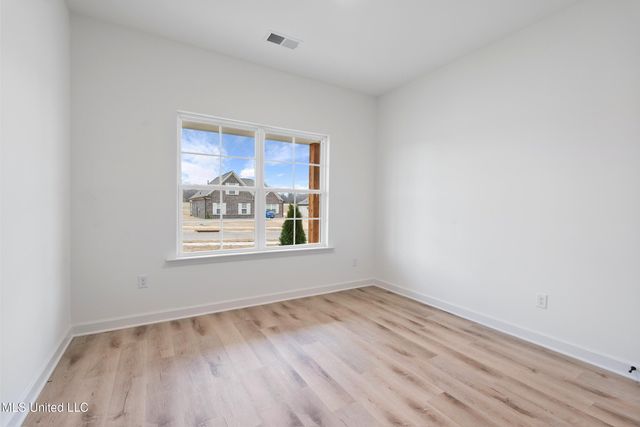 13878 Molly Madeline Lane, Olive Branch, MS 38654