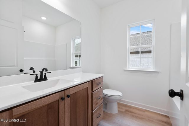 13878 Molly Madeline Lane, Olive Branch, MS 38654