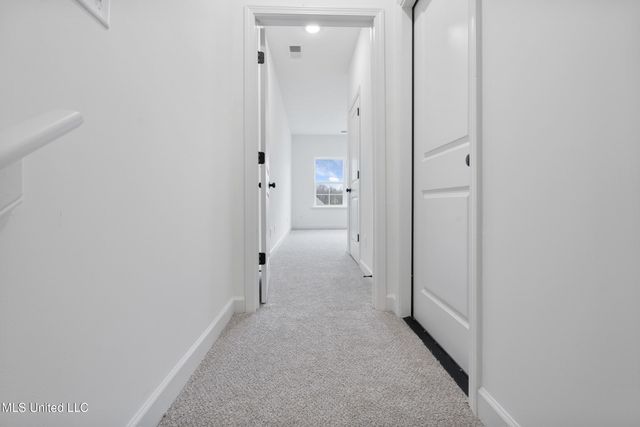 13878 Molly Madeline Lane, Olive Branch, MS 38654