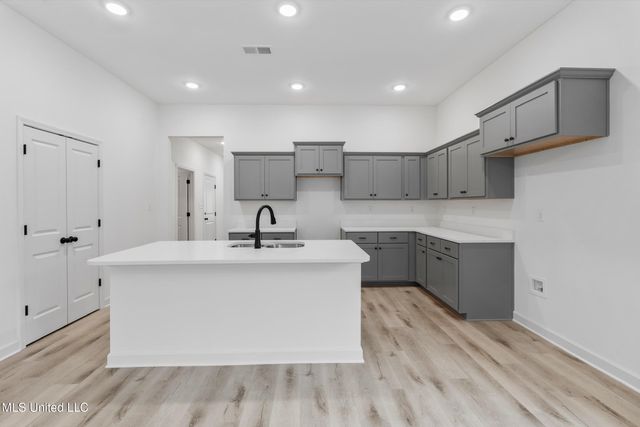 13878 Molly Madeline Lane, Olive Branch, MS 38654