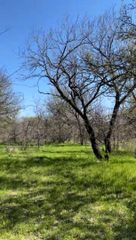 TBD Port O Call Drive, Runaway Bay, TX 76426