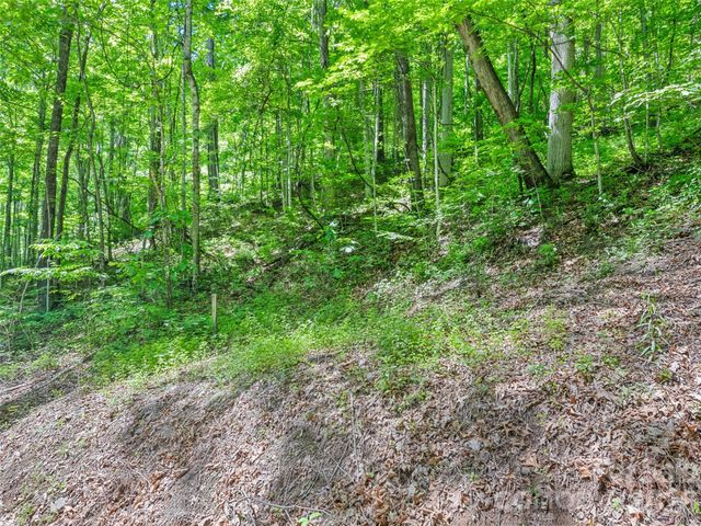00 Rustic Road, Waynesville, NC 28786