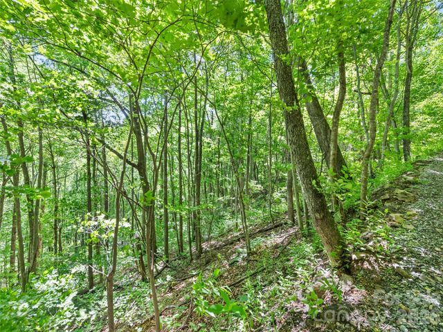 00 Rustic Road, Waynesville, NC 28786