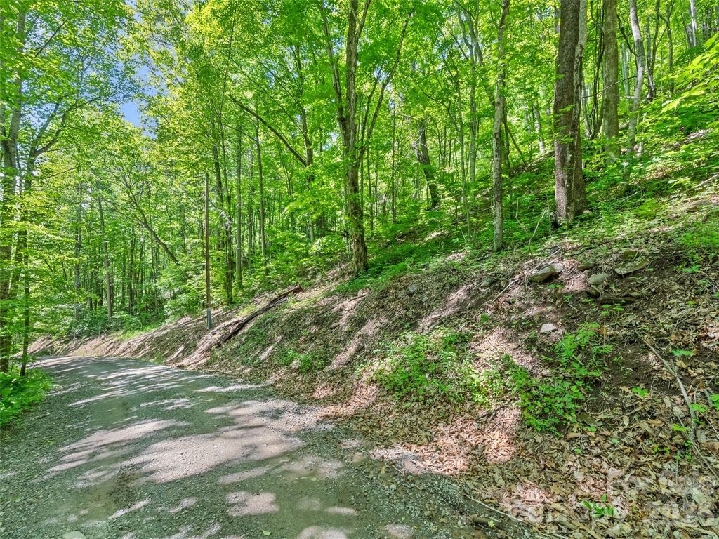 00 Rustic Road, Waynesville, NC 28786
