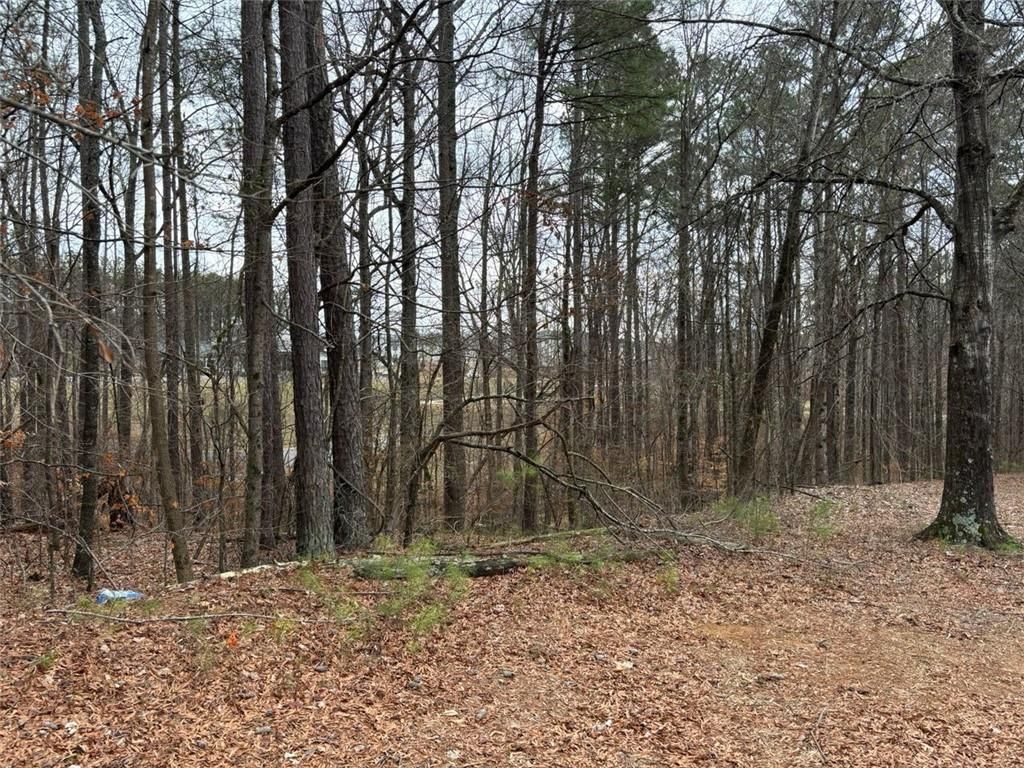 0 Preston Boulevard, Lithia Springs, GA 30122