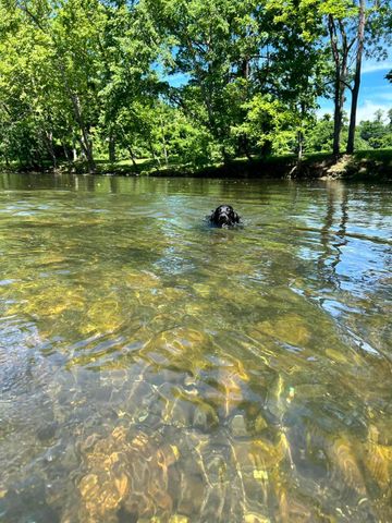 504 Dunbrack CIR, Covington, VA 24426