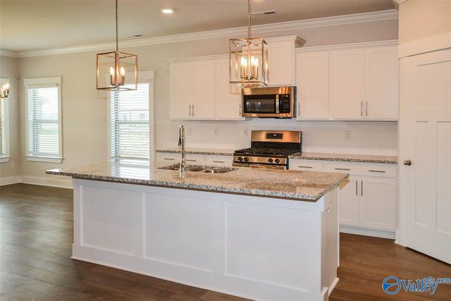 151 Rosemary Ayers Drive, Madison, AL 35756