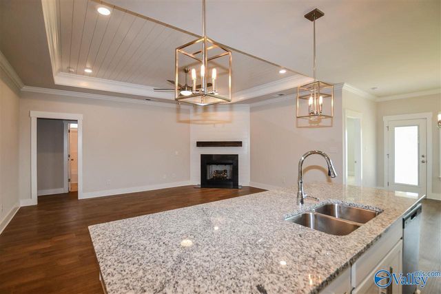 151 Rosemary Ayers Drive, Madison, AL 35756