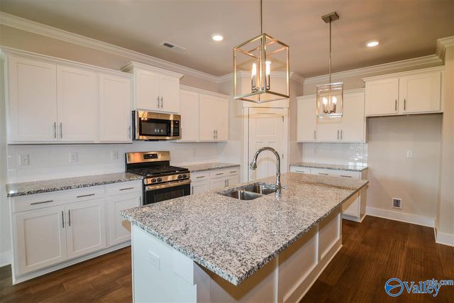 151 Rosemary Ayers Drive, Madison, AL 35756