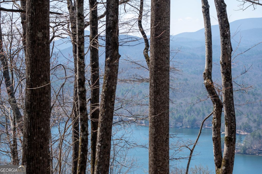LOT 11 Rainwater Trail, Tiger, GA 30576 — exterior