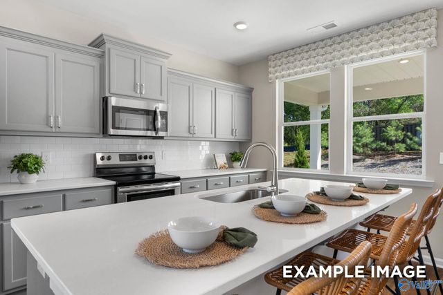 156 Hidden River Drive, Madison, AL 35756