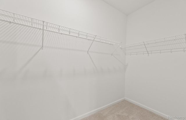 16104 Conifer Lane, Clinton Charter Township, MI 48038