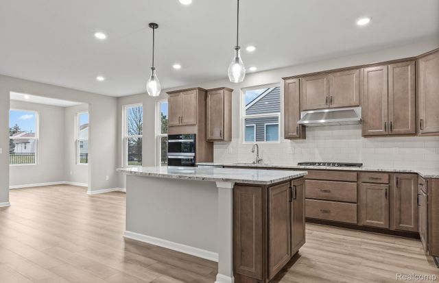 16104 Conifer Lane, Clinton Charter Township, MI 48038