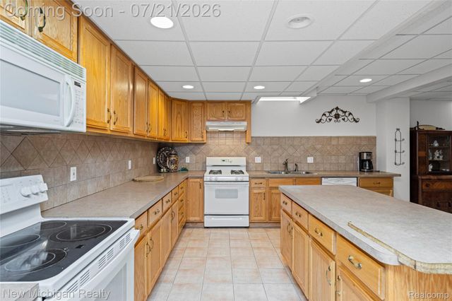 49787 Lakebridge Drive, Shelby Charter Township, MI 48315