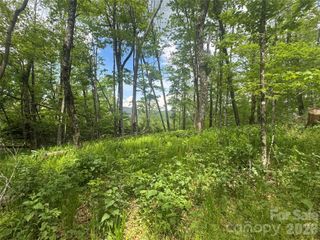 1026 Wolfs Head Court, Mars Hill, NC 28754