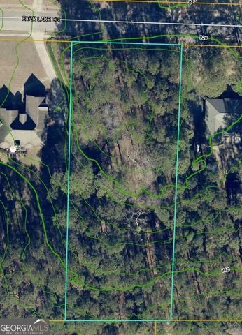 195 Farr Lake Drive, Tyrone, GA 30290
