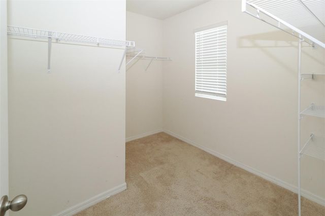 16200 SILENT SANDS LANE, Odessa, FL 33556