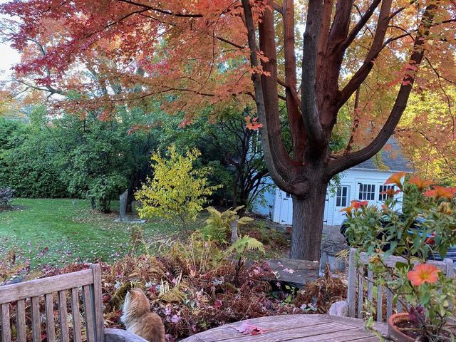 173-179 South Prospect Street, Burlington, VT 05401