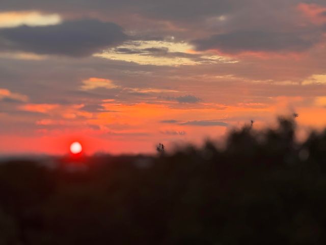 6296 W County Hwy 30A, Santa Rosa Beach, FL 32459