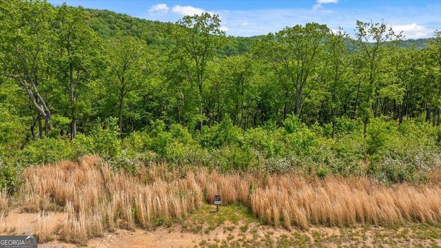 LOT 237 Highgrove Drive, Talking Rock, GA 30175