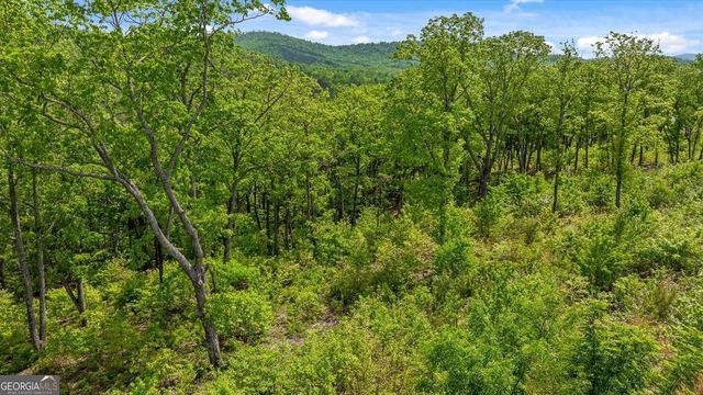LOT 237 Highgrove Drive, Talking Rock, GA 30175