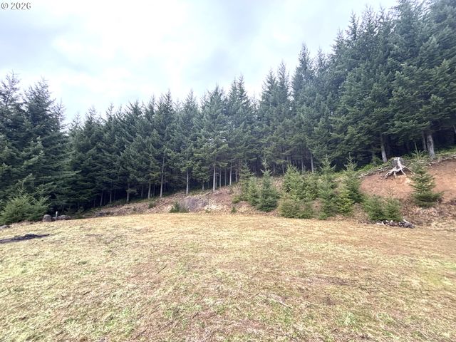 1844 KNIGHTS BRIDGE Rd, Ariel, WA 98603