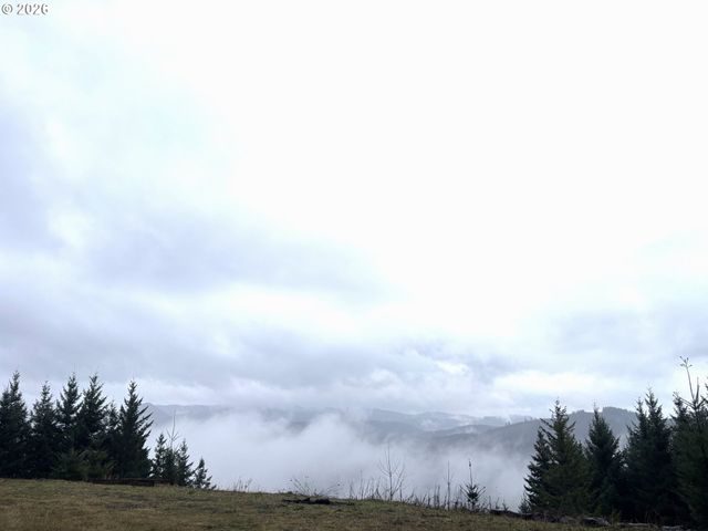 1844 KNIGHTS BRIDGE Rd, Ariel, WA 98603