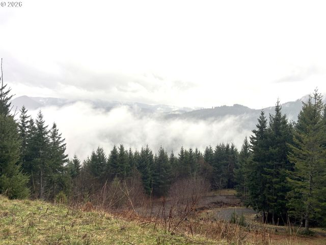 1844 KNIGHTS BRIDGE Rd, Ariel, WA 98603