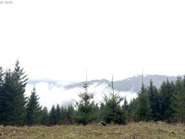 1844 KNIGHTS BRIDGE Rd, Ariel, WA 98603