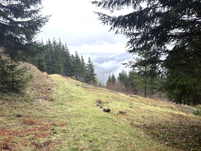 1844 KNIGHTS BRIDGE Rd, Ariel, WA 98603