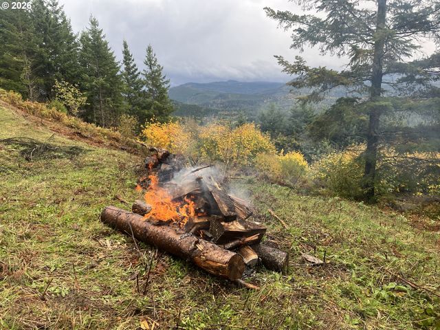 1844 KNIGHTS BRIDGE Rd, Ariel, WA 98603