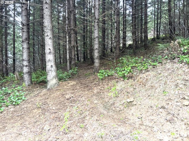 1844 KNIGHTS BRIDGE Rd, Ariel, WA 98603