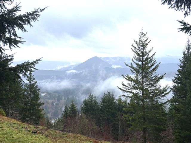 1844 KNIGHTS BRIDGE Rd, Ariel, WA 98603