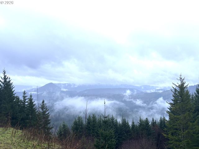 1844 KNIGHTS BRIDGE Rd, Ariel, WA 98603