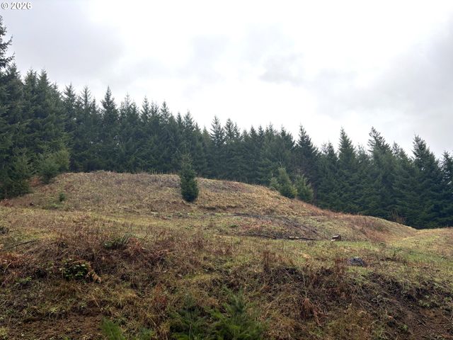 1844 KNIGHTS BRIDGE Rd, Ariel, WA 98603