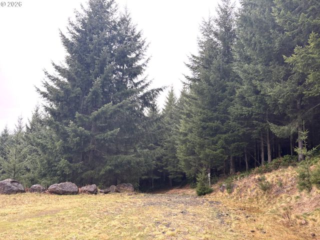 1844 KNIGHTS BRIDGE Rd, Ariel, WA 98603