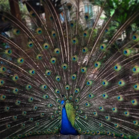 7970 BANNON FISH CAMP ROAD, Haines City, FL 33844