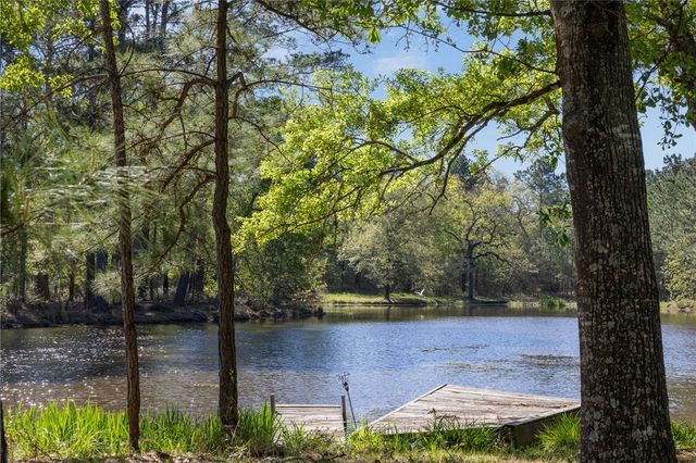 3702 County Road 151, Bedias, TX 77831