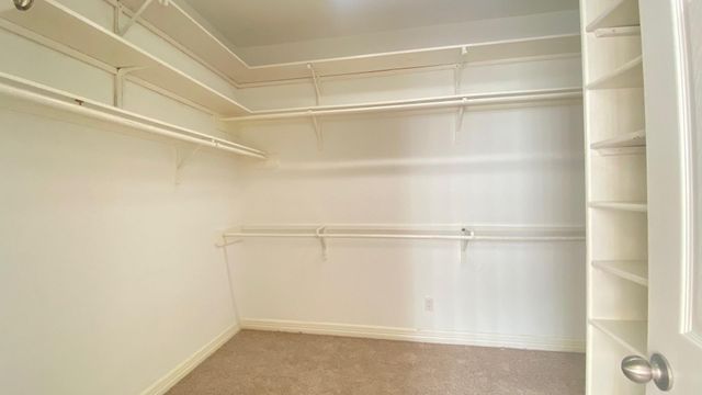 12203 Hidden River Lane, Pearland, TX 77584