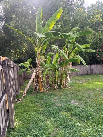 862 JADE FOREST AVENUE, Orlando, FL 32828