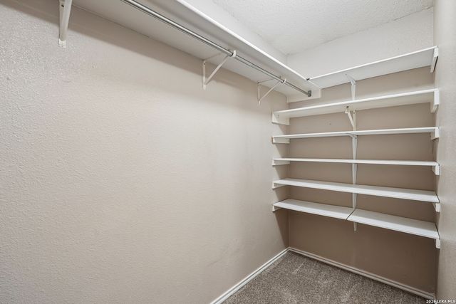 9963 Permian Bay, San Antonio, TX 78245