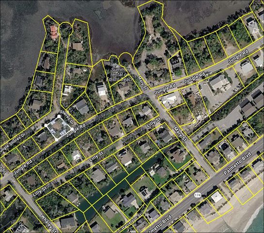 209 Jungle Road, Edisto Beach, SC 29438