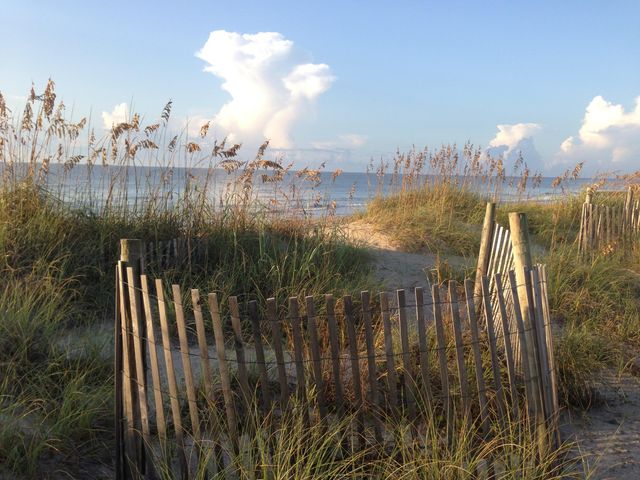 209 Jungle Road, Edisto Beach, SC 29438