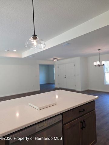 2440 W Wilmington Loop, Citrus Springs, FL 34433