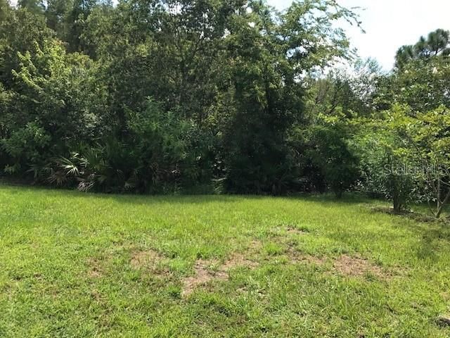 17911 TIMBER VIEW STREET, Tampa, FL 33647