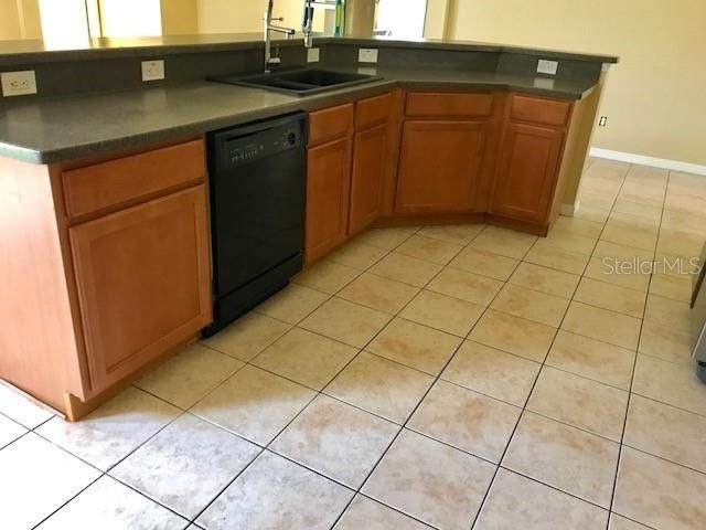 17911 TIMBER VIEW STREET, Tampa, FL 33647