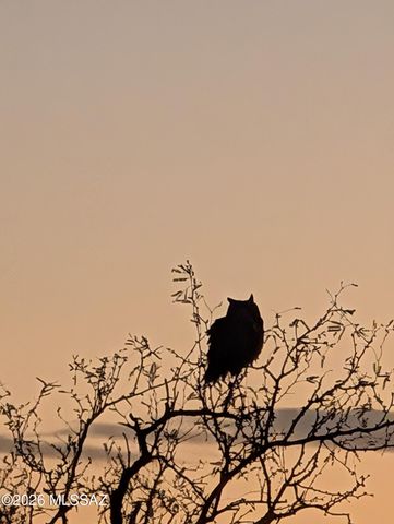 14101 S Sierrita Mountain Road, Tucson, AZ 85736