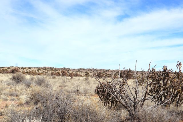 Lot 23, 24, 25 Rio Rancho Estates NE, Rio Rancho, NM 87144